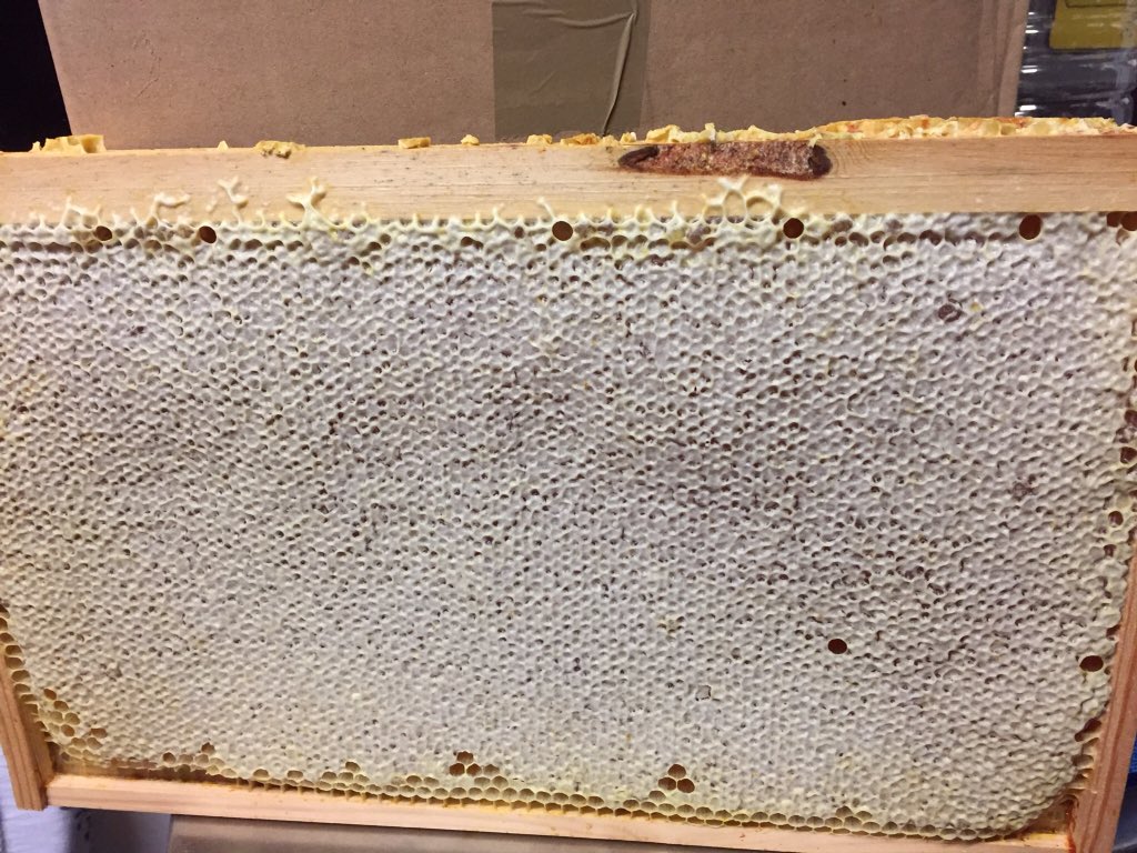 kevinhorner4's tweet photo. An exceptional deep frame full of delicious Heather honey. https://t.co/u3gvwIxHtk