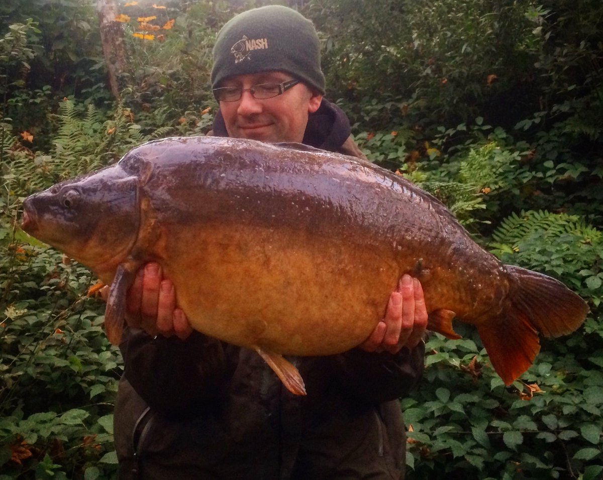 carpmarathon's tweet photo. The session has Just stepped up a gear, Biggest of the trip so far at 26lb #Citruz #4GSquid #PatsPool https://t.co/s1ESsJOOzP