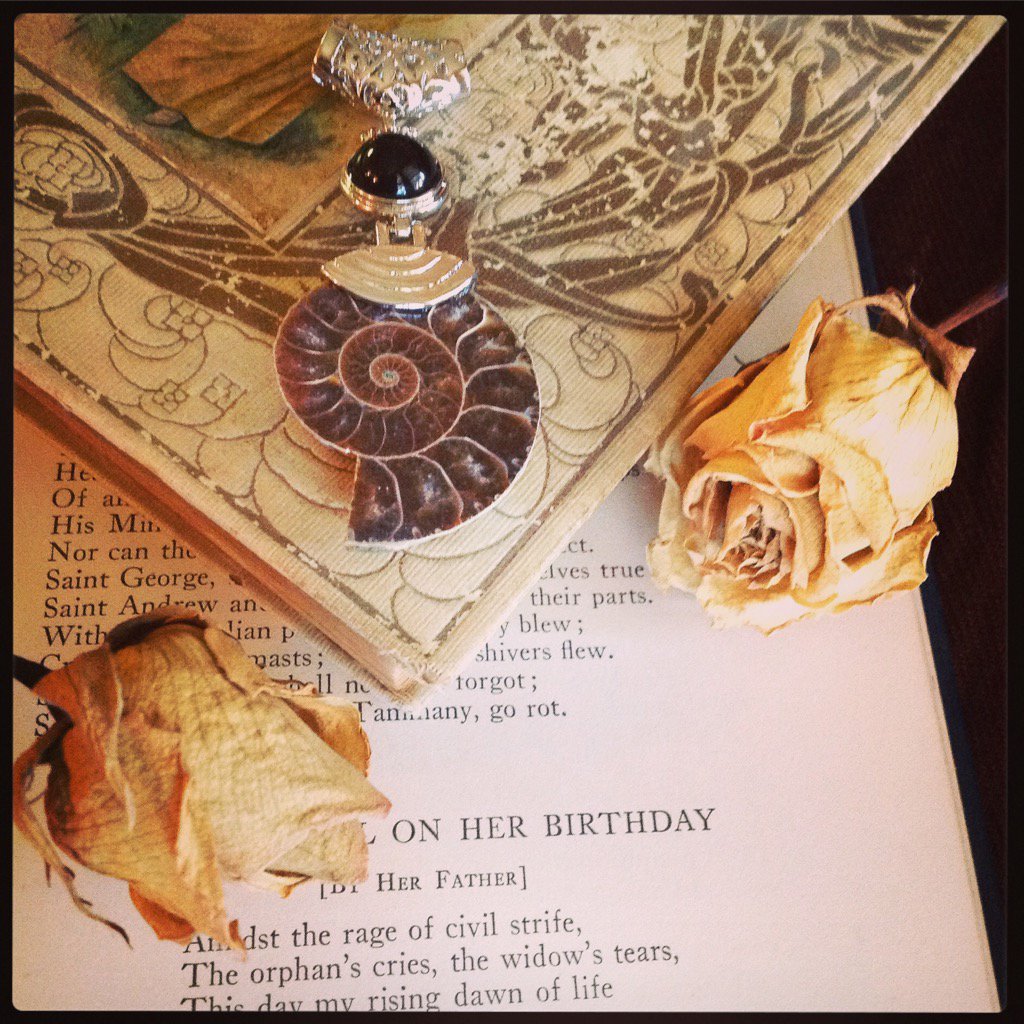 Luminary_Sage's tweet photo. Onyx Nautilus Necklace by LuminarySage on Etsy https://t.co/CsQAslmGVi via @Etsy #etsy #shopsmall https://t.co/etB0GeQmCw