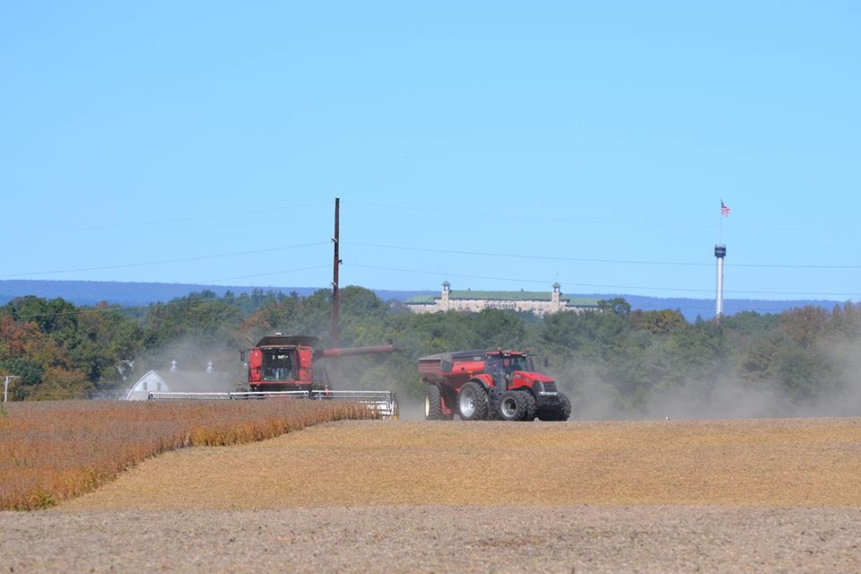 Geringhoff's tweet image. Rolling terrain? Not a problem for the #TruFlexRazor by @Geringhoff!