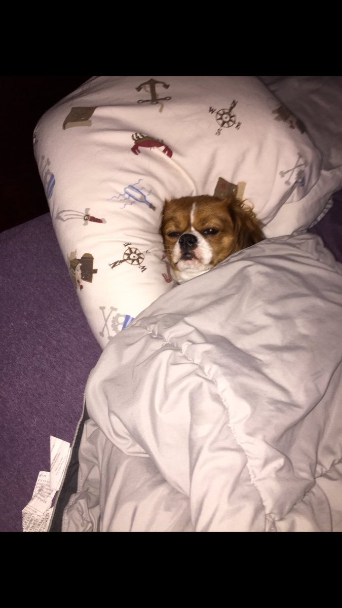 PerfectSaaying's tweet photo. When my alarm goes off and I remember I hate life https://t.co/Qt9OlB8sHM