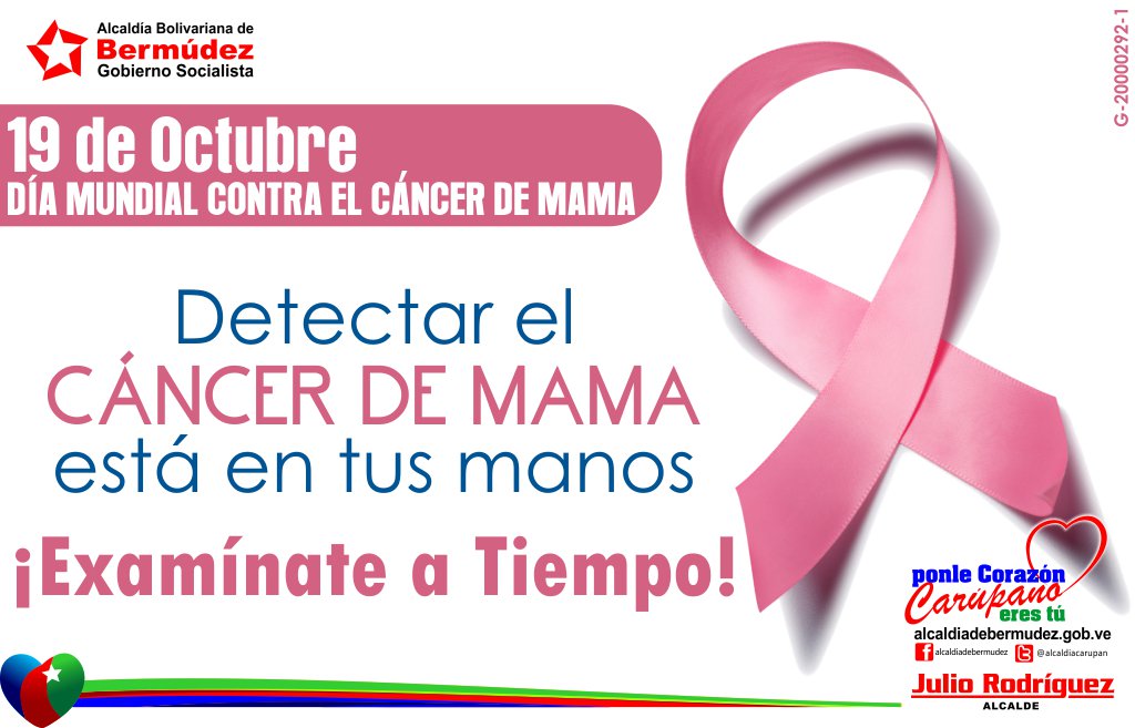Nircia_Villegas's tweet photo. #DiaContraelCancerdeMama https://t.co/EICTwqJQzr