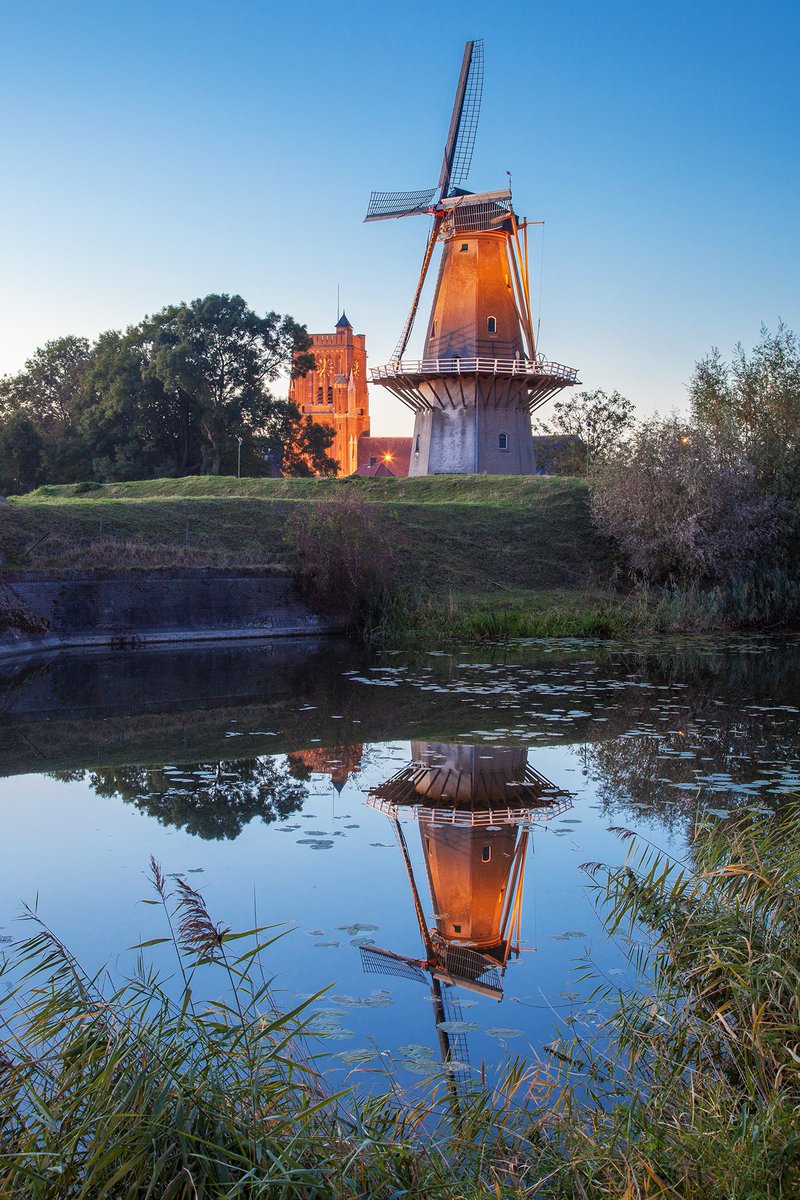 FotoWoudrichem's tweet photo. Door de bomenkap rond de molen is er een nieuw doorkijkje naar de kerktoren ontstaan. #Woudrichem https://t.co/Gtztl4nvtQ