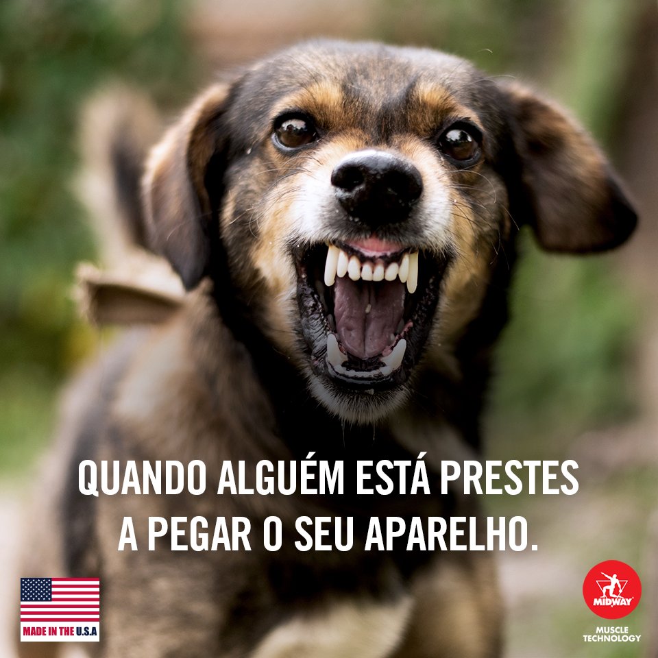 Da série: as coisas que mais irritam na academia. 😰