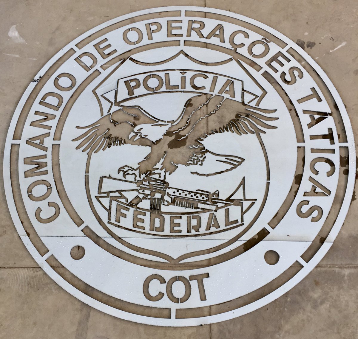 Nosso mais recente trabalho. Recorte do Brasão do Comando de Operações  Táticas da Polícia Federal. #jatodagua, image size:1200x1138