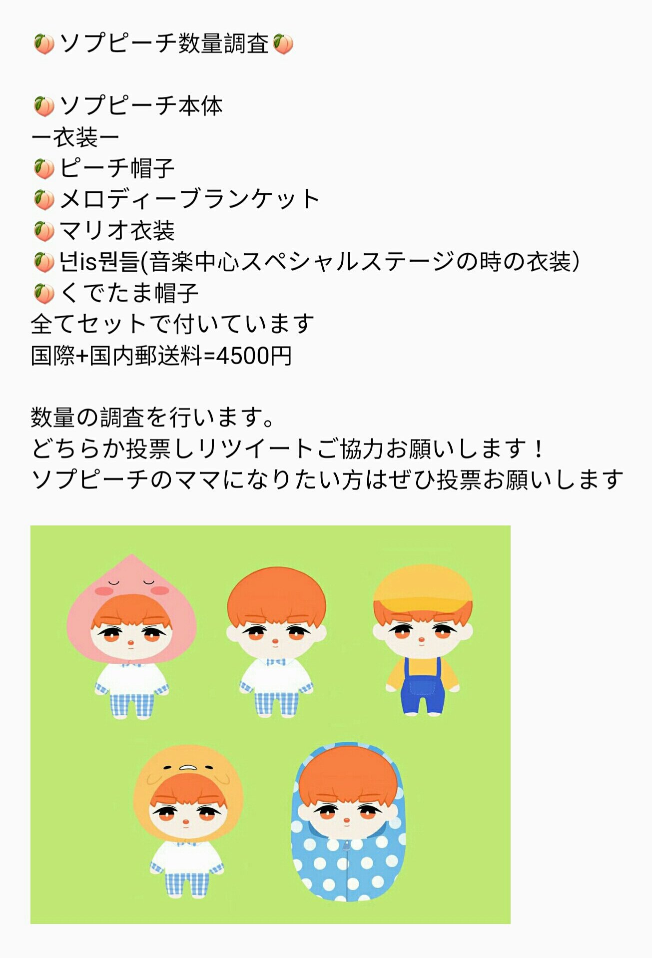 BTOB チャンソプ 韓国 ソロライブ グッズ ブランケット