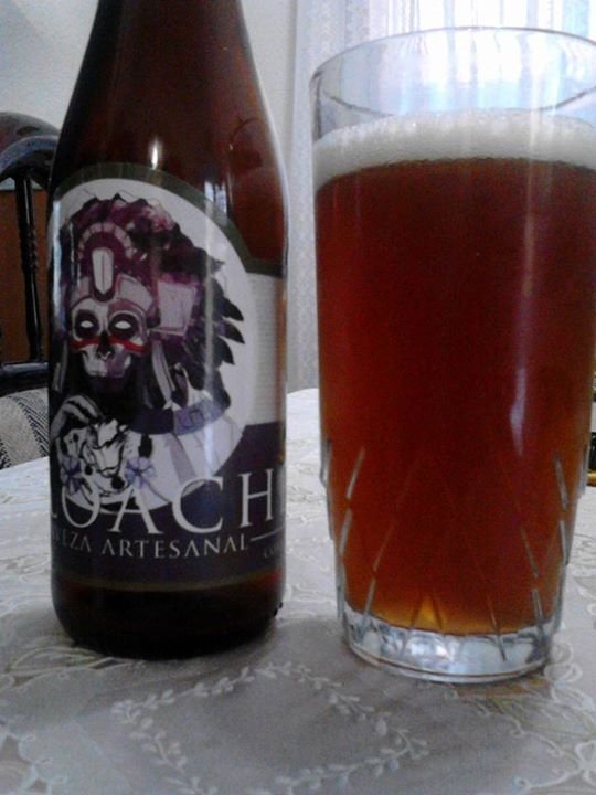 coprogeneracion's tweet photo. Mi #Ratebeer de #CornAle de @CerveceriAztlan @cicerone @beertrekkie @CznCmex https://t.co/J6XMdlW9YE https://t.co/SOGiXppLOj
