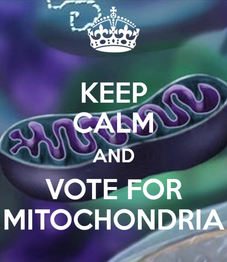 Mitochondria_GO's tweet photo. VOTE FOR MITOCHONDRIA YOU WONT REGRET IT https://t.co/YOXqGdq2v0