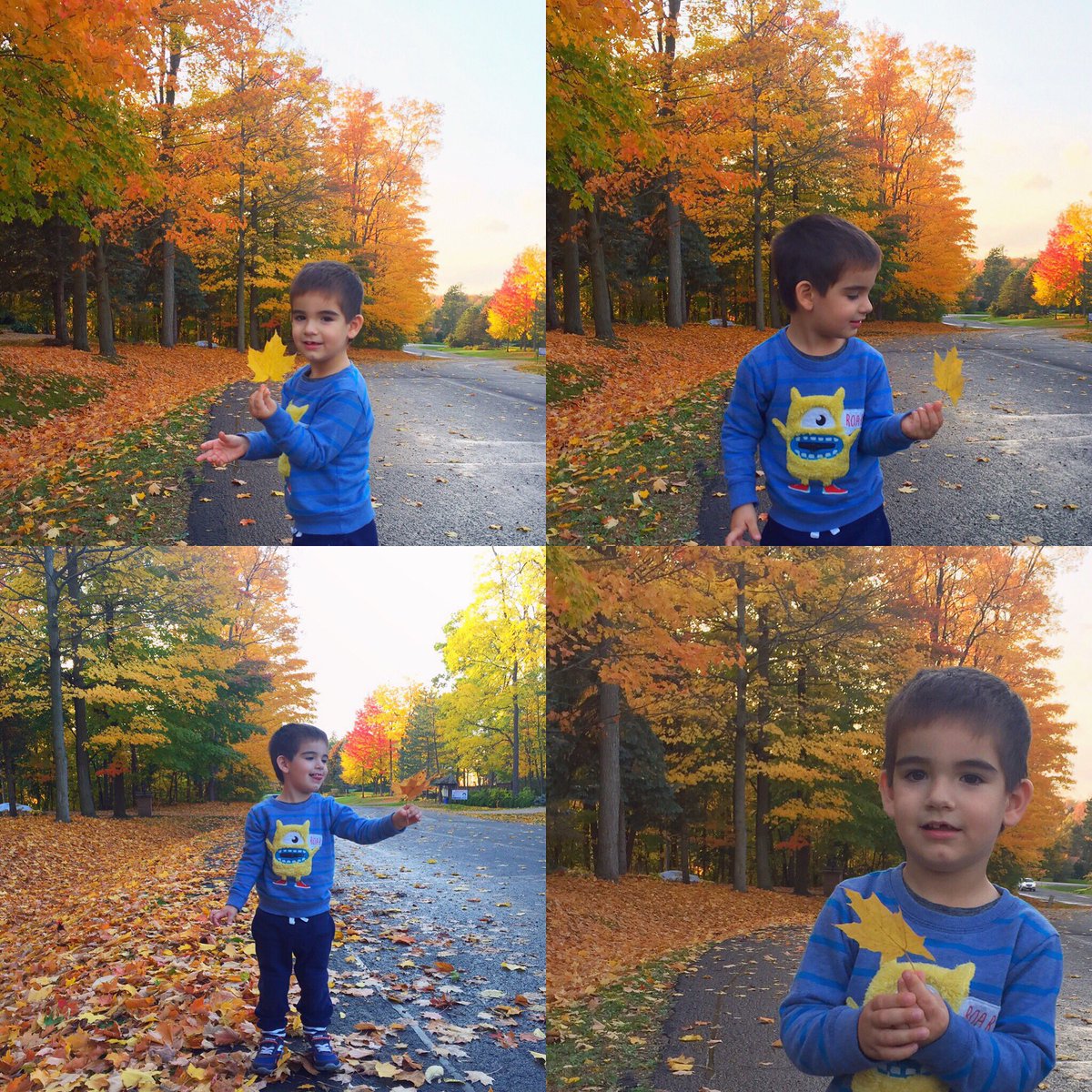SullySaenzPeru's tweet photo. La vida me premia de esta manera...Te amo mucho hijito 😍😍 #Canada #fall #otoño🍁 #sopreety #paisaje #marcheternuras #Marchello #mommyboy https://t.co/3wVvA3uPUl