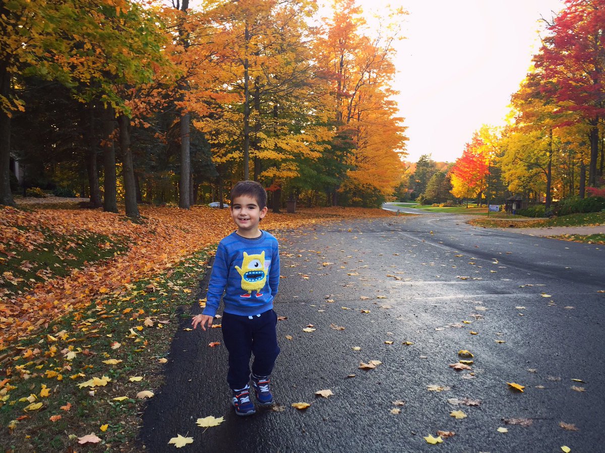 SullySaenzPeru's tweet photo. La vida me premia de esta manera...Te amo mucho hijito 😍😍 #Canada #fall #otoño🍁 #sopreety #paisaje #marcheternuras #Marchello #mommyboy https://t.co/3wVvA3uPUl
