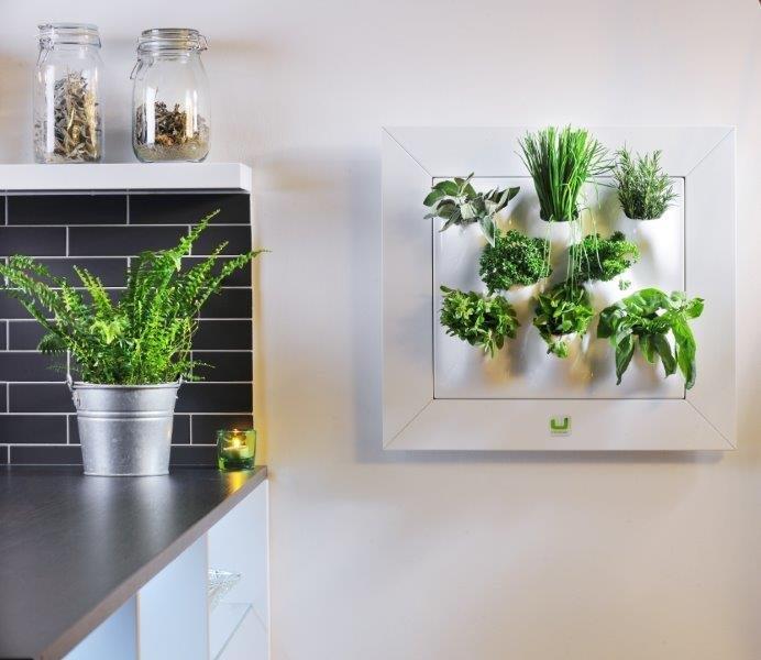 Do you know the benefits of having a #GreenWall in your office? Check it here: hubs.ly/H04P6Gc0 #Landscaping