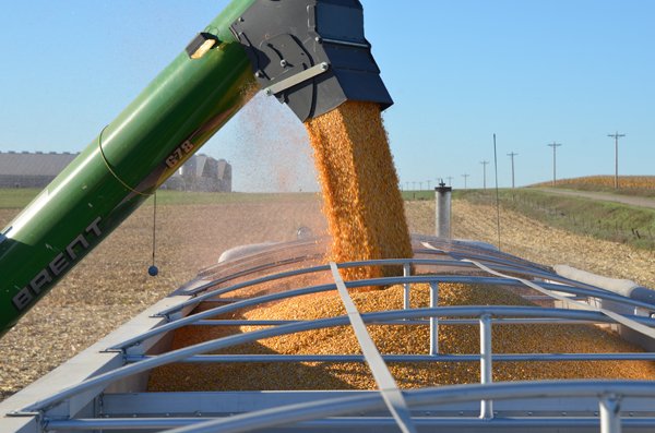 fosterk96's tweet photo. What’s
your harvest tip? Join the conversation on Twitter using #HeardAtHarvest #Promo
for a chance to win great prizes! https://t.co/WnBiIaSAcx