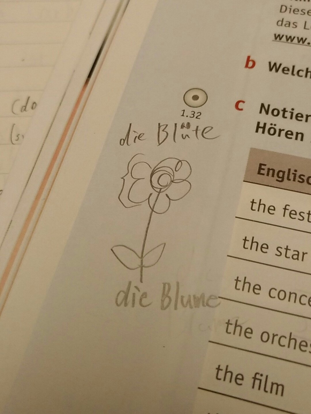 いーの ドイツ留学 就活 ドイツ語の勉強 Die Blume も Die Blute も花という意味 ただdie Blumeは花全体 Die Bluteは花の頭の部分だけ フランス語でも同じ感じの使い分けはあるみたいです これだから外国語はおもしろい 留学 ドイツ語 フランス語