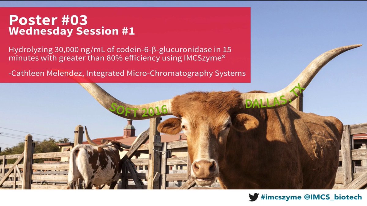 IMCS_biotech's tweet image. Don&apos;t miss poster number 3 at SOFT! #imcszyme #codeine hydrolysis #drugmonitoring