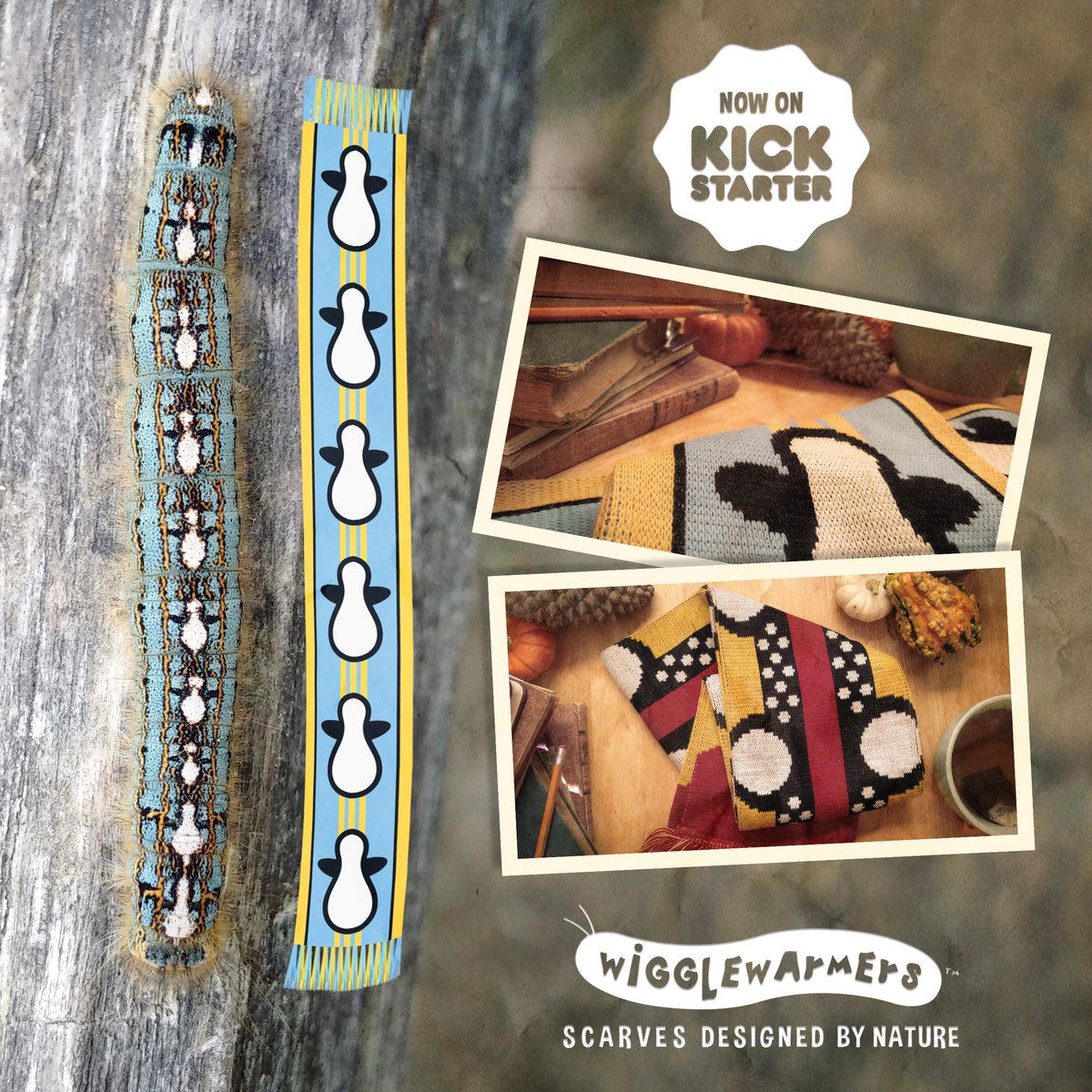 WiggleWarmers's tweet photo. @Earth_Pics I've created something I think you &amp; your followers would enjoy! Scarves based off real caterpillars https://t.co/Cj1y4E6V5Q https://t.co/l21oq16sNj
