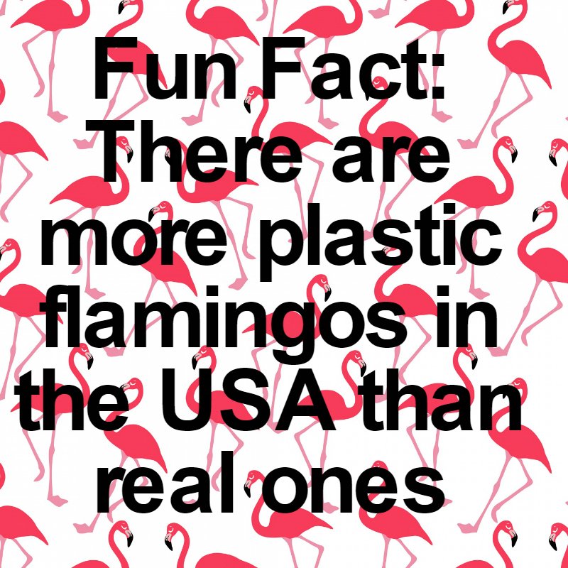 exposmartteam's tweet photo. Who knew there were so many ! #Funfact https://t.co/FyBNRttR3r