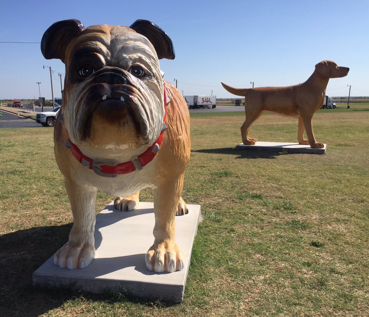oncue dog park oncue dog park