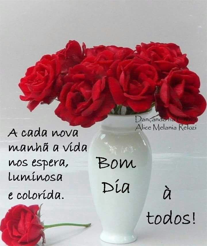 #timbeta segue sigo (@rtnubiacruz) on Twitter photo 