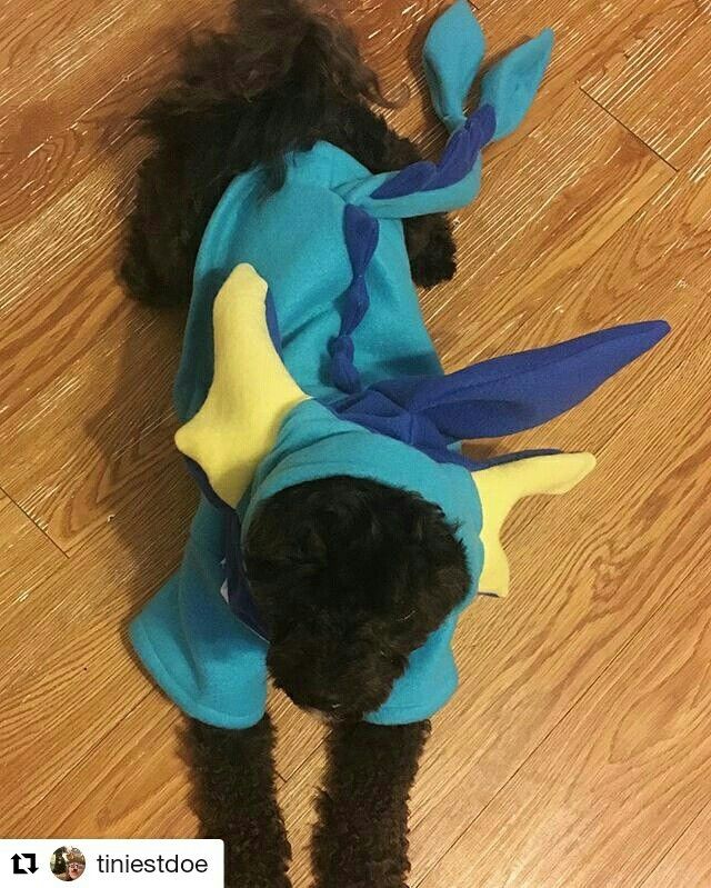 taulukos's tweet photo. A wild #Vaporeon!!! #froodieshoodies #pokemongo #gottacatchemall #luremodule #pokemontrainer… https://t.co/NvjzXmSBg9 @FroodiesHoodies https://t.co/sFkr0uie8w
