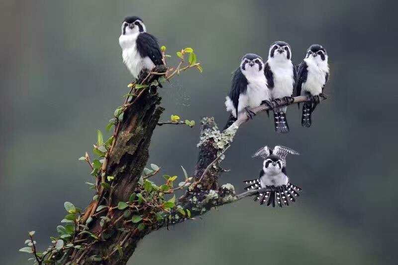 끝은 훤히 보이는데, 길이 잘 안 보인다. 이걸 두고 사는 맛`이라는 사람도 있고, 죽을 맛`이라는 사람도 있다. - 윤선민, 당신만 바라보면 천천히 걷는다