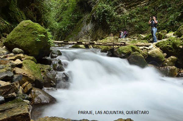 Visit México tweet media