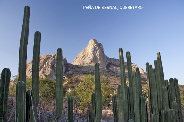 Visit México tweet media