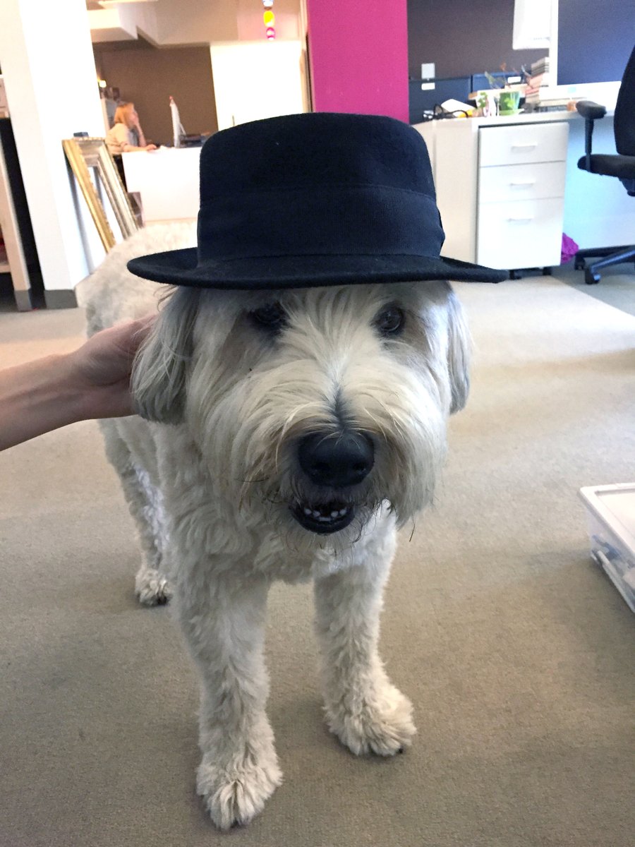 Mighty Media Inc tweet media