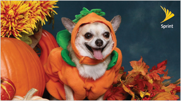 WRCorps's tweet photo. No tricks, just treats this weekend! Stop in Saturday to your nearest @Sprint store for doorbuster deals! #sprintsaysthanks https://t.co/GPu4lNpu5z