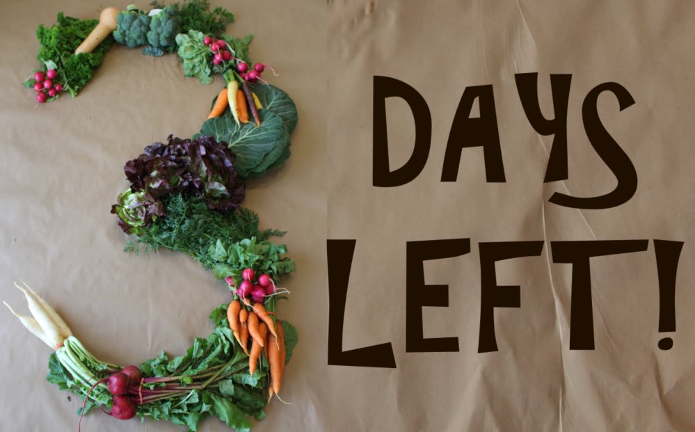 3 days left to join our fall CSA!!!! Carrots &amp; Broccoli &amp; Daikon Radishes, Oh My! #coop #organic #csa #lffc #sustainable #local #fall