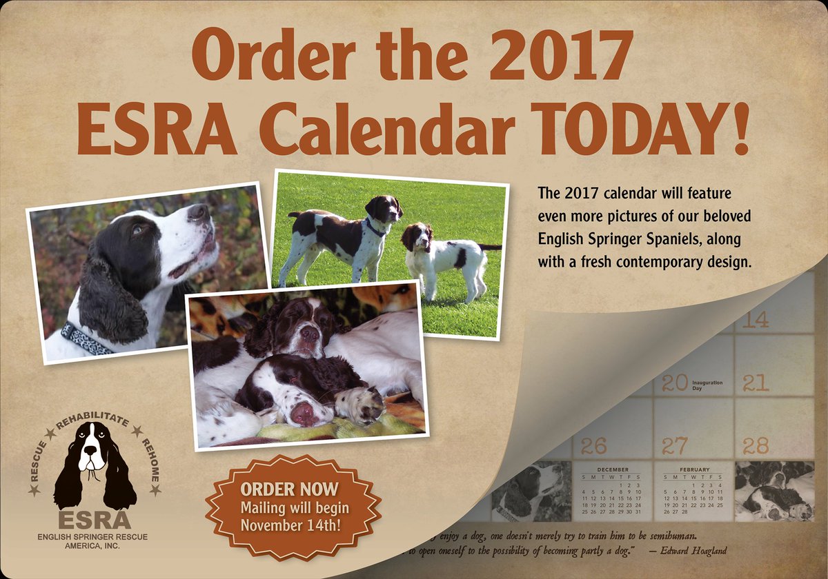 Sr Spaniel Rescue tweet media