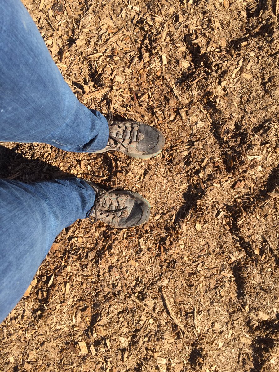 Renewable fuel beneath my feet. #BioEnergyDay