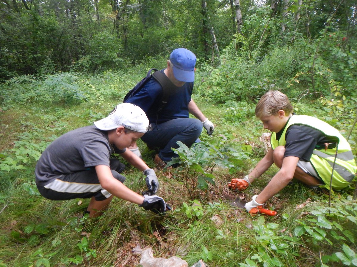 Join us for our 6th Annual Natick Trails Day (Cochituate Aqueduct Trail), Sat., 10/22, 8am - 3pm.