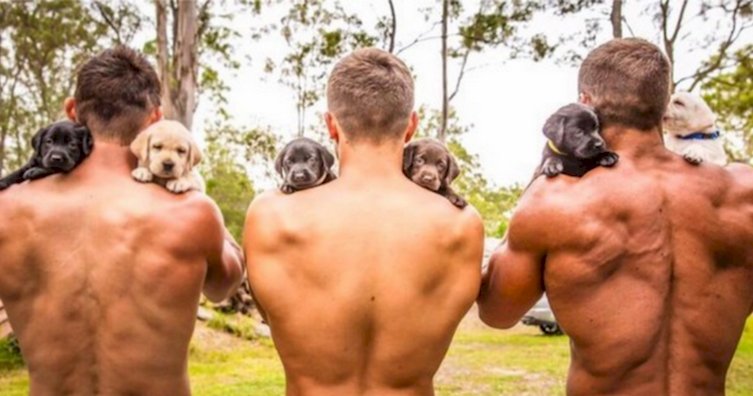 thinkpup's tweet image. These Firefighters Are Hanging Out With Tiny #Puppies. Why? This Is Amazing. buff.ly/2e4sz01