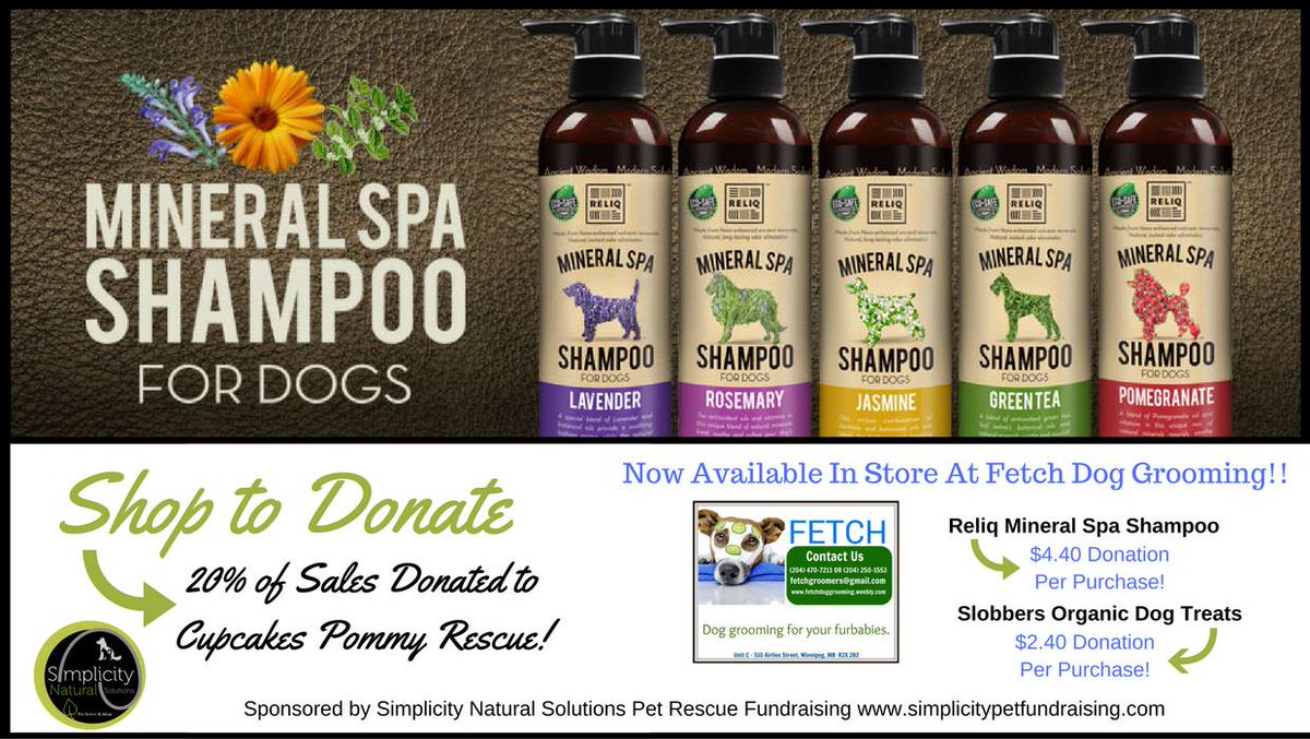 Fetch510's tweet image. Support Cupcakes Pommy &amp;amp; Friends Dog Rescue!