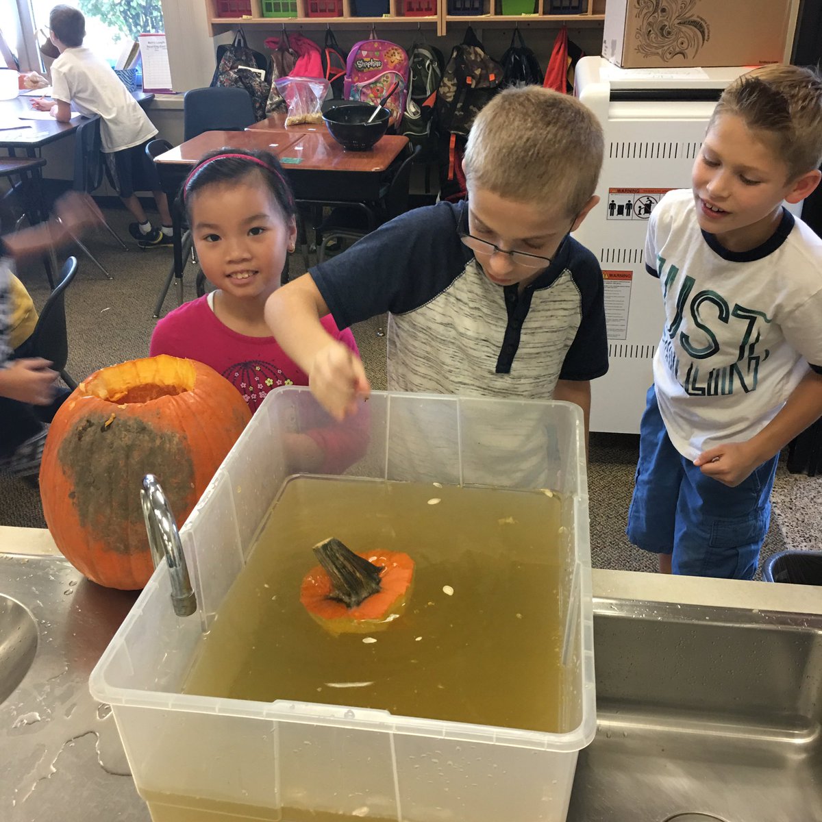 pto4les's tweet photo. Thank you to @CountyLnOrchard for the Pumpkin Donation. Pumpkin Math was a SUCCESS!!! @MrsJarkaLES @MrsSchwerdt https://t.co/T0TDUExzTA