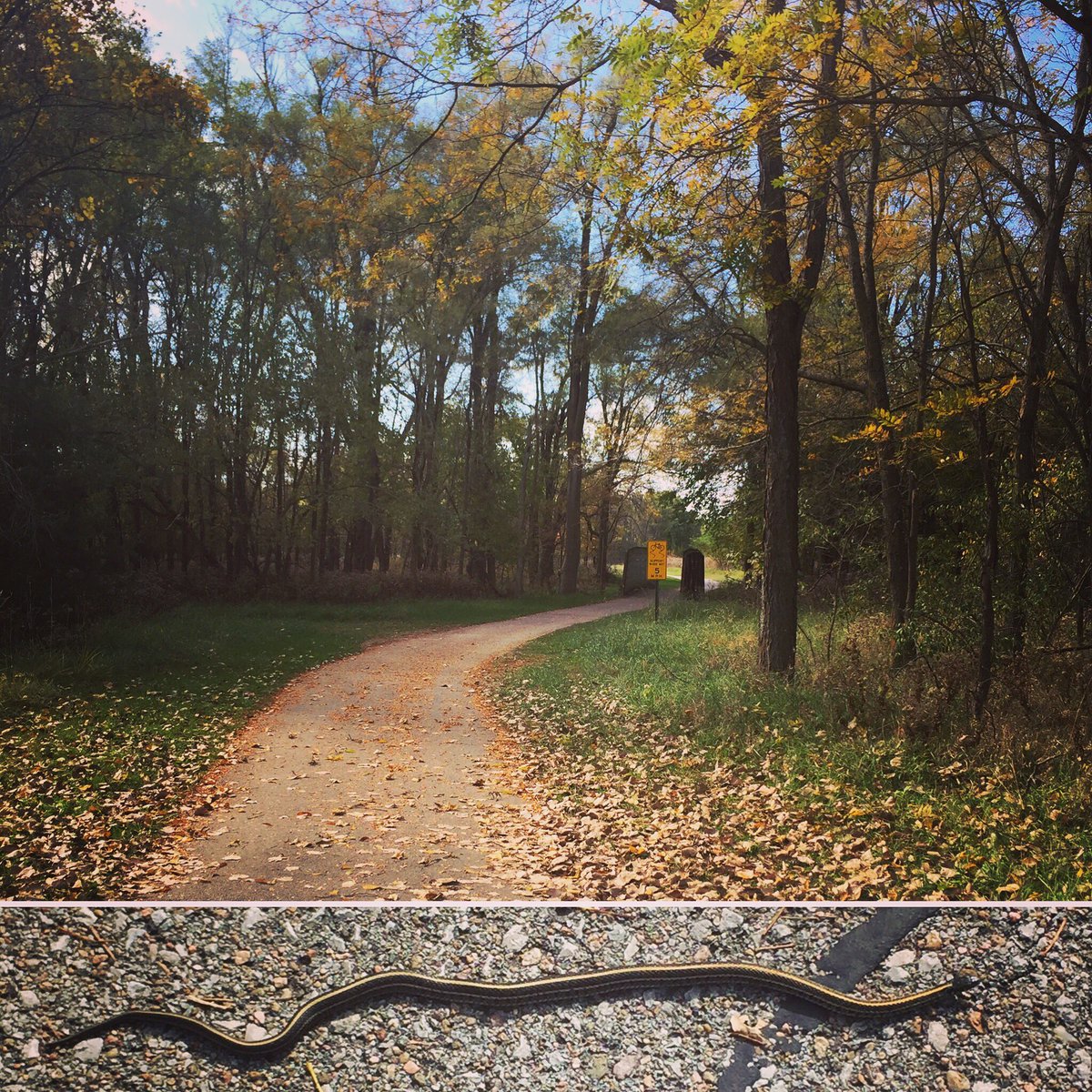 MS_MotherRunner's tweet photo. Training run and snakes eek. #msruntheus #CureMS #runtofightMS https://t.co/15ecoMFuvr