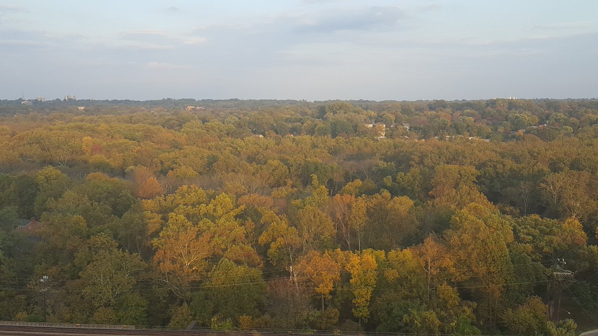 EssenceStrength's tweet image. Autumnal dusk in my 'hood. Enjoying the simple beauty of nature calms my spirit. #HelpingHealersBeWell #SimplifySelfCare