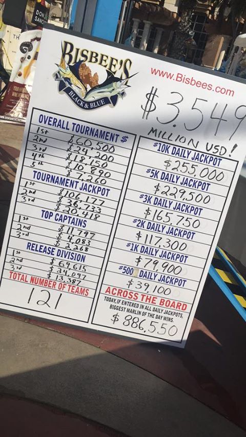 Bisbee's Tournaments tweet media