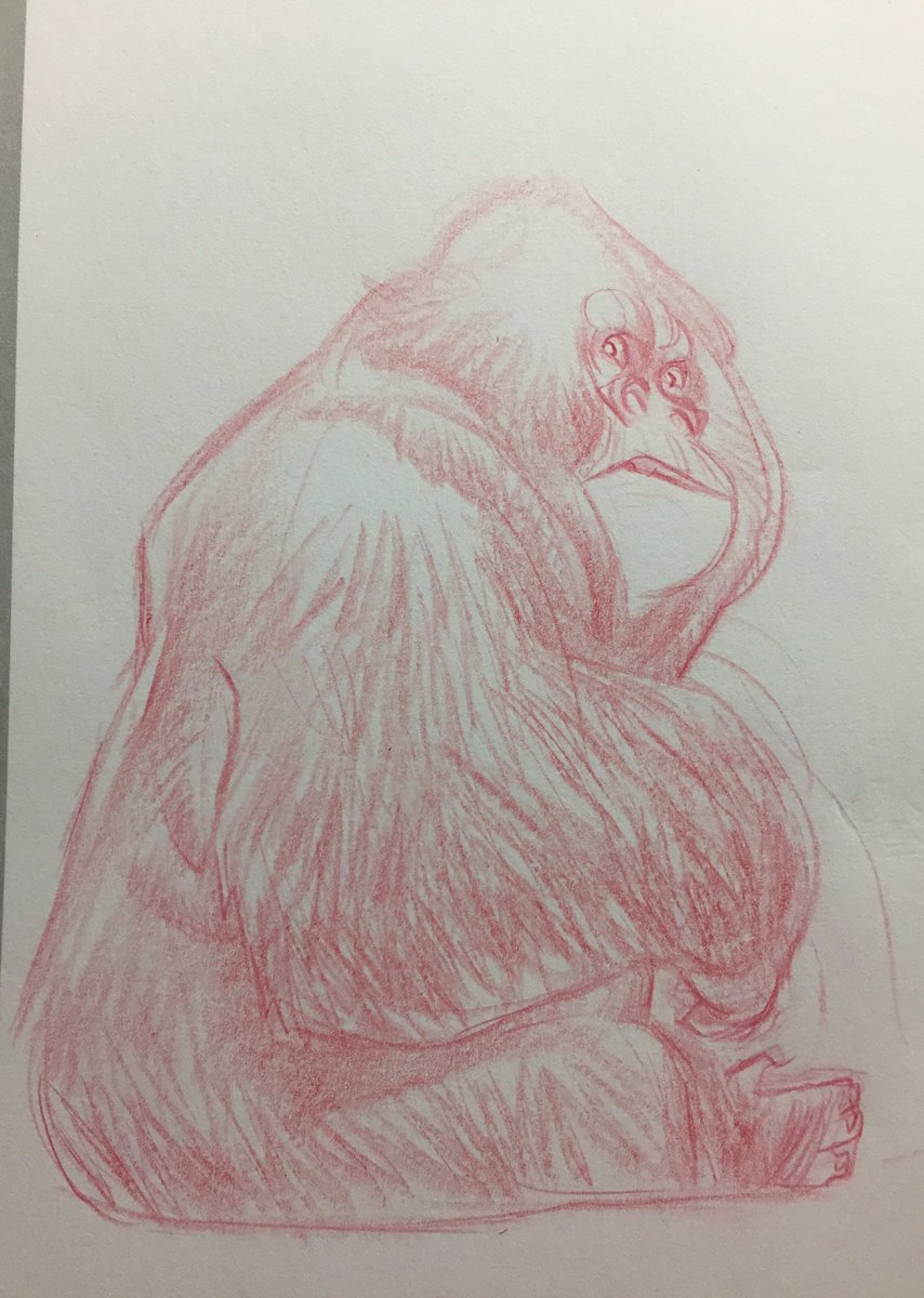 davidsdoodles27's tweet image. No inktober for me today just doodled a gorilla in a meeting. But no one wanted to address this 800lb-er Ha ha ha. I&apos;m a dork