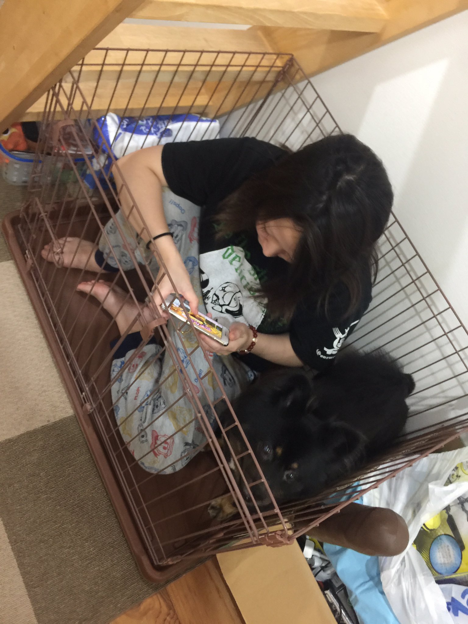 恭一郎 なんかれいかリリィ小屋にいるんだけど