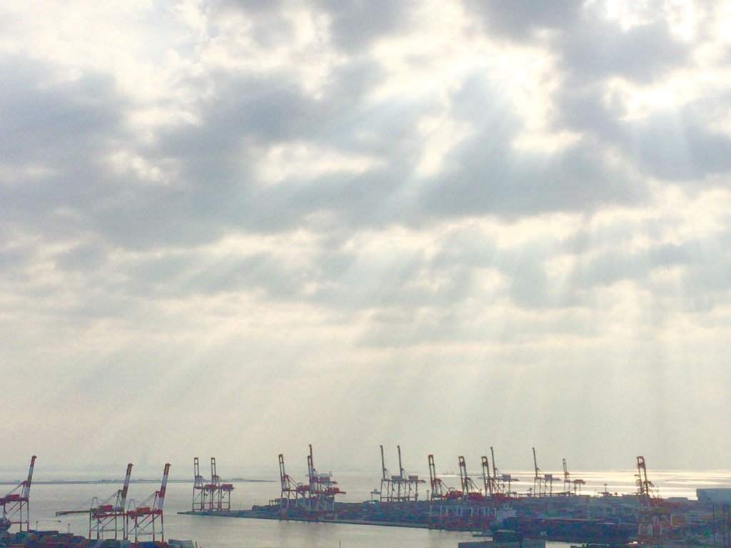 takechan2000's tweet image. Good morning #iswc2016 Cranes looking for Sun!