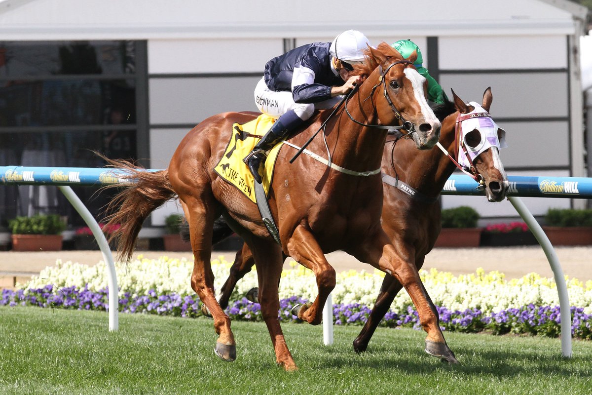 justhorseracing's tweet photo. Get On our Crystal Mile TIPS: https://t.co/gvDjZf0lY7

#CrystalMile #MooneeValley https://t.co/1C9TzXzqp1