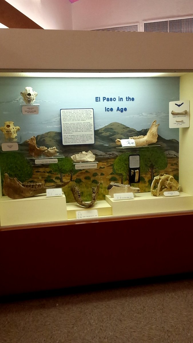 mramirezgo1's tweet photo. Ice Age#Notjust4Geeks https://t.co/9Q4XDTz3EK