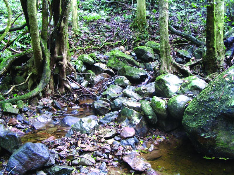 BushHeritageAus's tweet photo. In 2007 Nameless Sylvan https://t.co/steZt4JsHD was donated on behalf of Richard Sylvan @LouiseSylvan #stepbystep #bringingbackthebush https://t.co/lND2iNyPHd