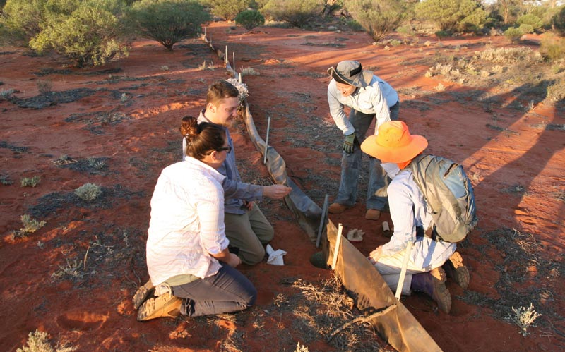 BushHeritageAus's tweet photo. 2008 a former sheep property the size of Sydney, Bon Bon (SA) https://t.co/W7UB7PekRW was bought #stepbystep #bringingbackthebush https://t.co/3VkL0t8tA3