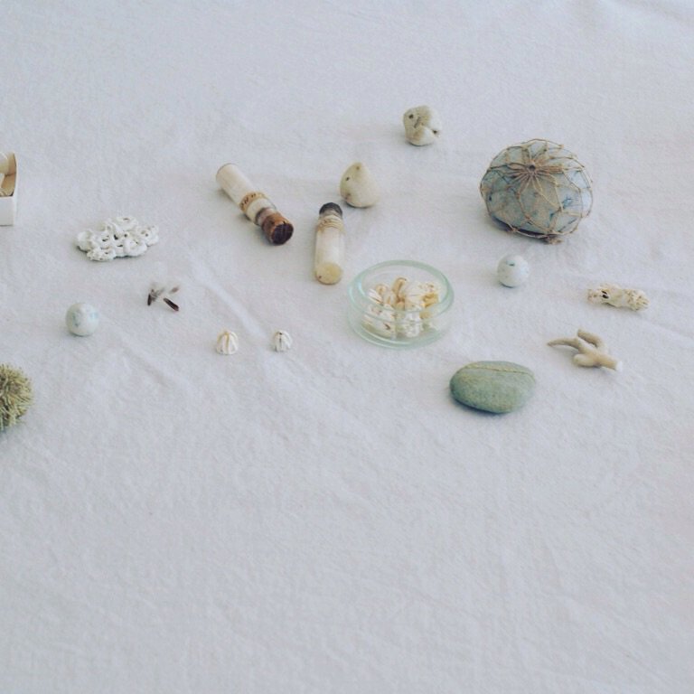 yukinobuko's tweet photo. #specimenbox
#beachcombing
#forestcombing https://t.co/d4CK3AErWA