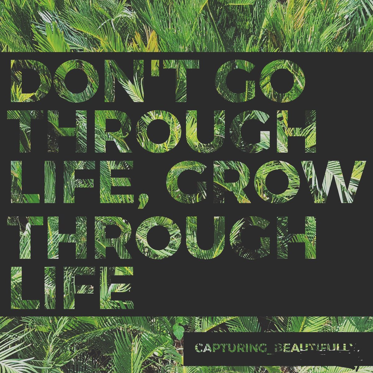 CaptureBeauty1's tweet photo. For You https://t.co/Owvz37C3h3