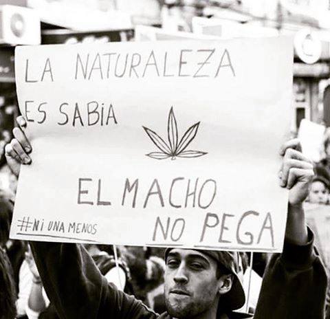 ThcFriends420's tweet photo. #THC 
NO DUDES DE ESO 😎 https://t.co/mQCoJSHjgX