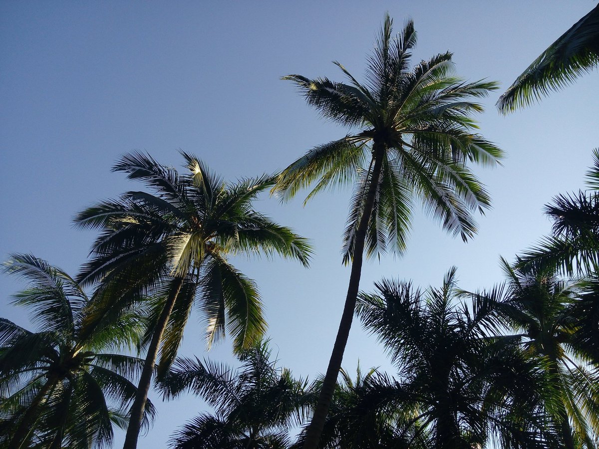 adrianama3eee1's tweet photo. #Vallarta https://t.co/DBMLjDetuq