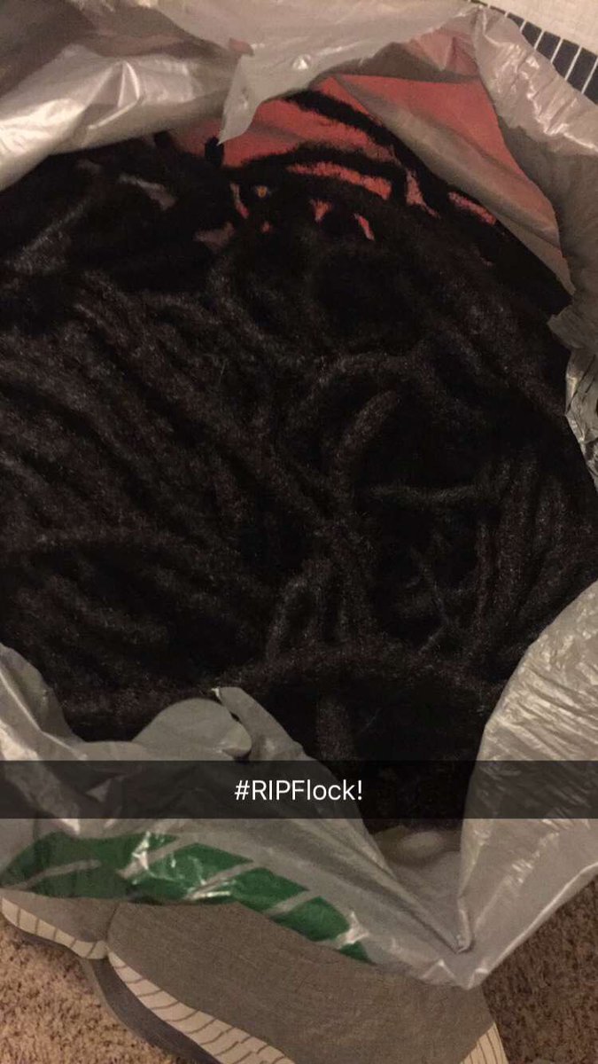 NoFlockin_'s tweet photo. #RipFlock https://t.co/sXXzCz0pIj